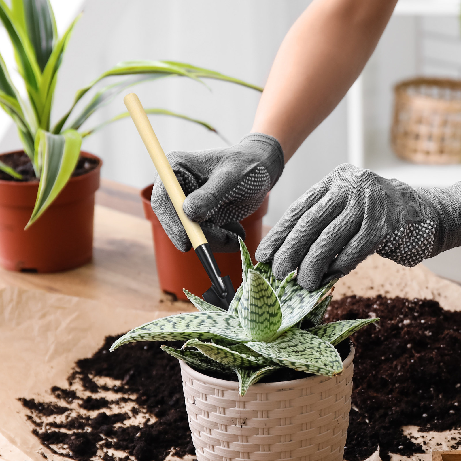 Bonsai Garden Rake - 2-teiliges Mini-Gartengeräte-Set: Gartenrechen, Gießkanne, Schaufel mit