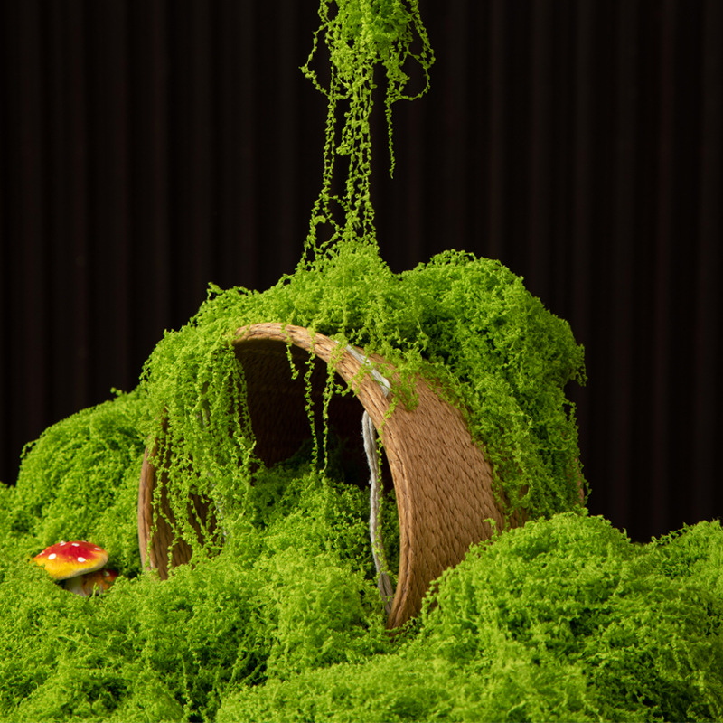 Bonsai Garden Ideas - 200g Ewiges Leben Moos DIY Bastelbedarf