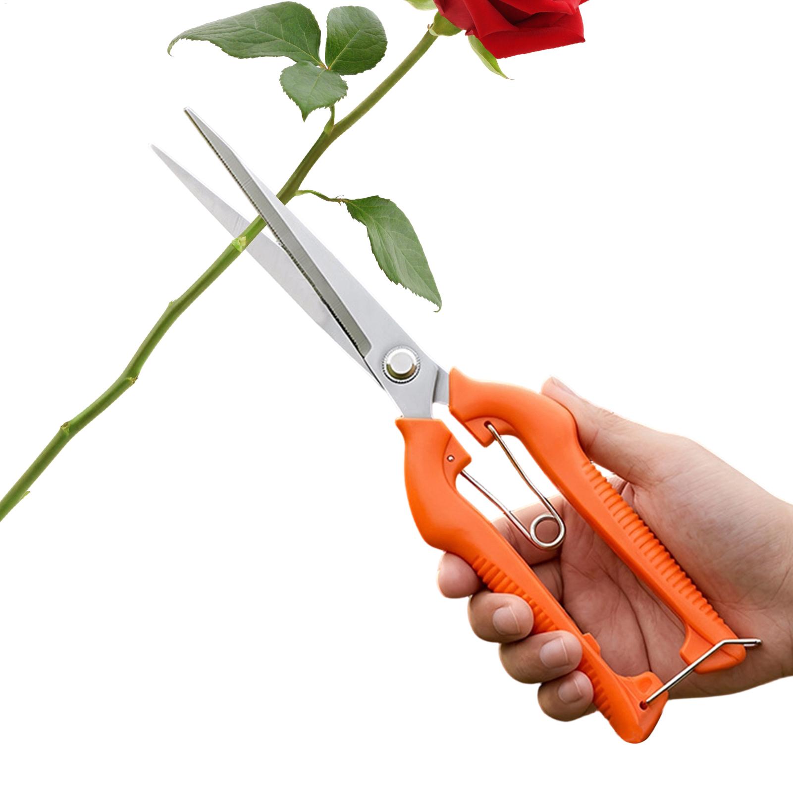 Bonsai Garden Rake - Professionelle Gartenschere aus Edelstahl für Weintrauben,