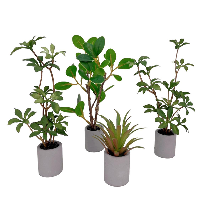 Bonsai Garden Ideas - 1:6 Puppenhaus Miniatur Topfpflanze Grünblättriger Blumentopf