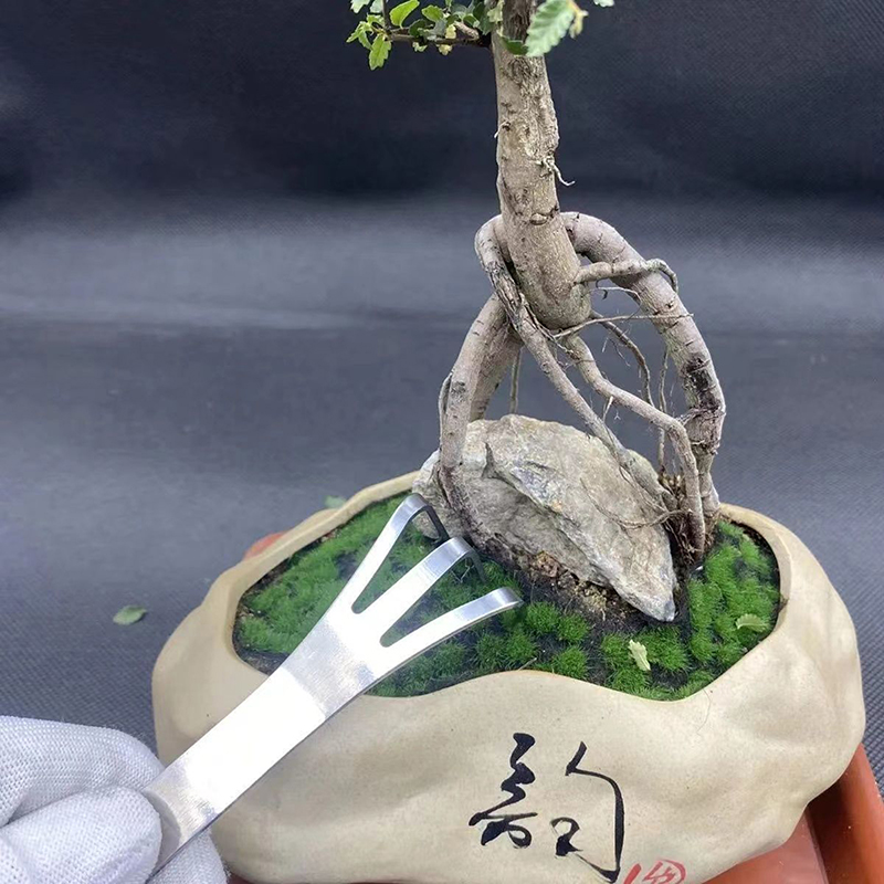 Bonsai Garden Rake - 1PC Edelstahl Wurzel Rechen Bonsai Topfpflanzen