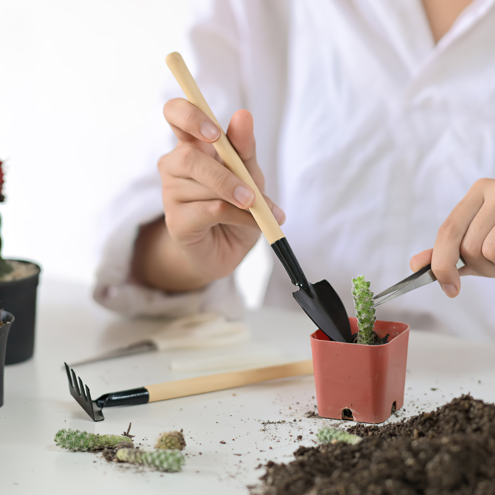 2-teiliges Mini-Gartengeräte-S – Bonsai Garden Rake Bewertung und Preis
