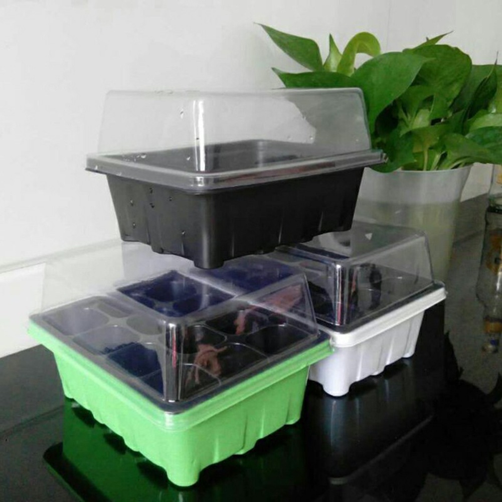 Anzuchtset mit 12 Zellen, Keim – Bonsai Garden Grow Kit Bewertung und Preis