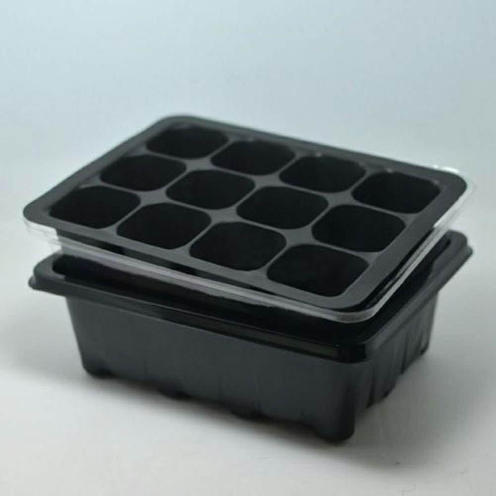 Anzuchtset mit 12 Zellen, Keim – Bonsai Garden Grow Kit Bewertung und Preis