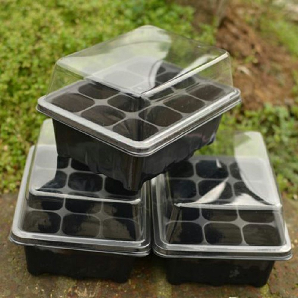 Anzuchtset mit 12 Zellen, Keim – Bonsai Garden Grow Kit Bewertung und Preis