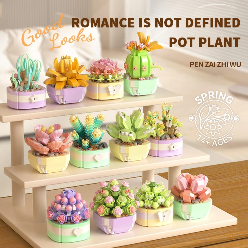Blume Sukkulenten Bausteine Ew – Bonsai Garden Kit Bewertung und Preis