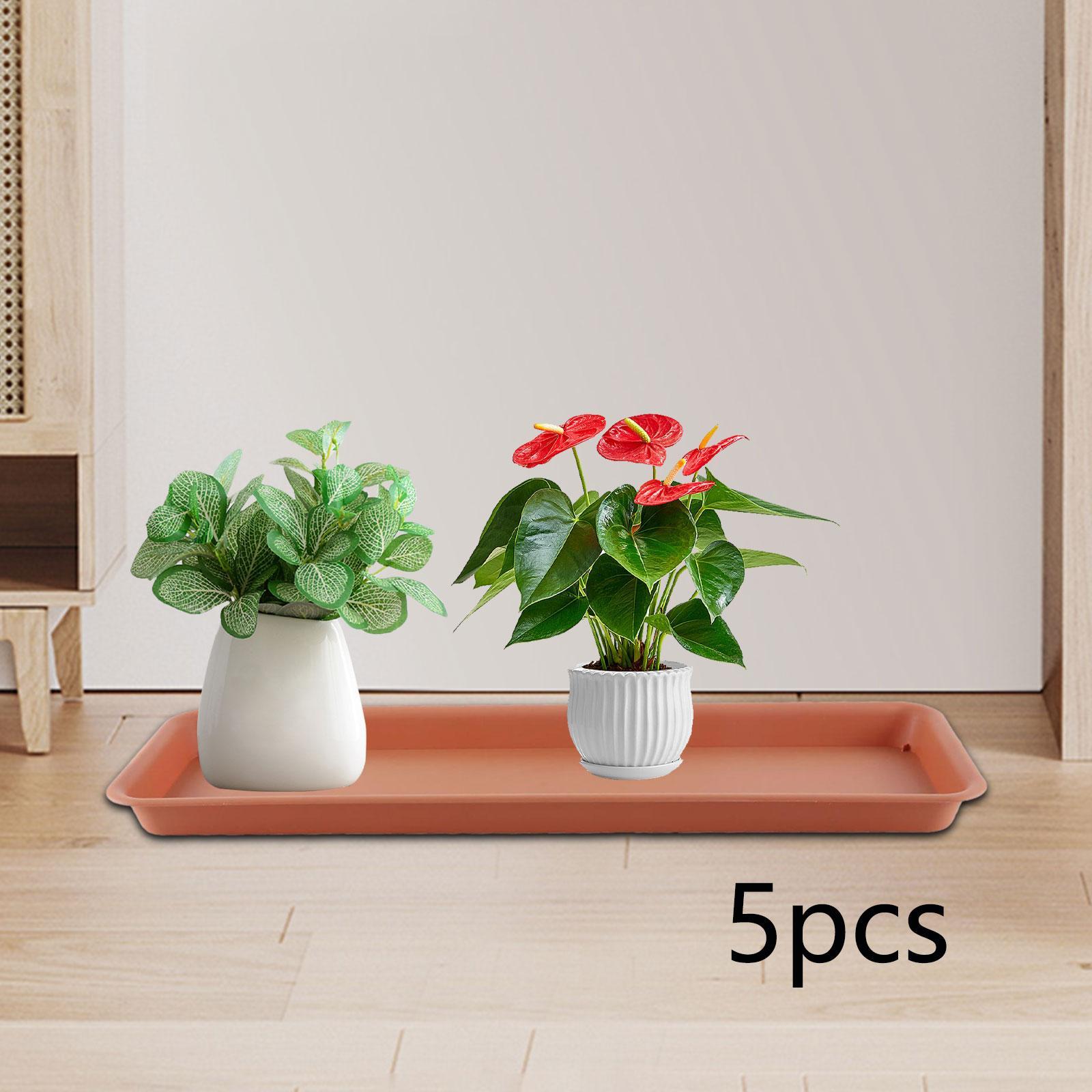 Hoher Blumentopf für die Terra – Drip Tray Saucer Bewertung und Preis