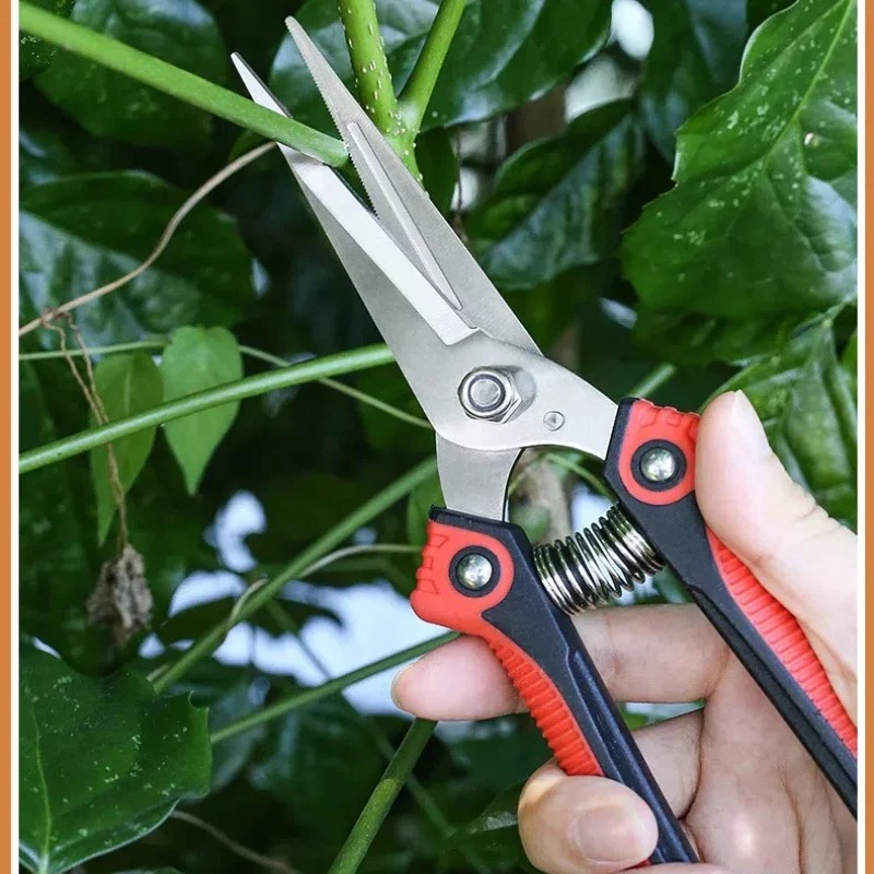 NEWSHARK Edelstahl-Gartenscher – Bonsai Garden Rake Bewertung und Preis