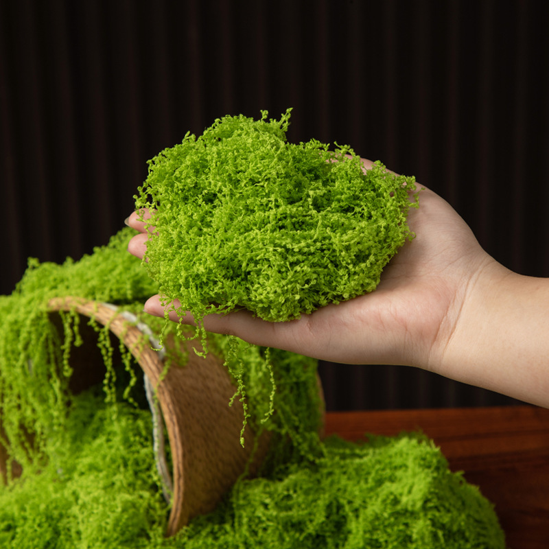 200g Ewiges Leben Moos DIY Bas – Bonsai Garden Ideas Bewertung und Preis