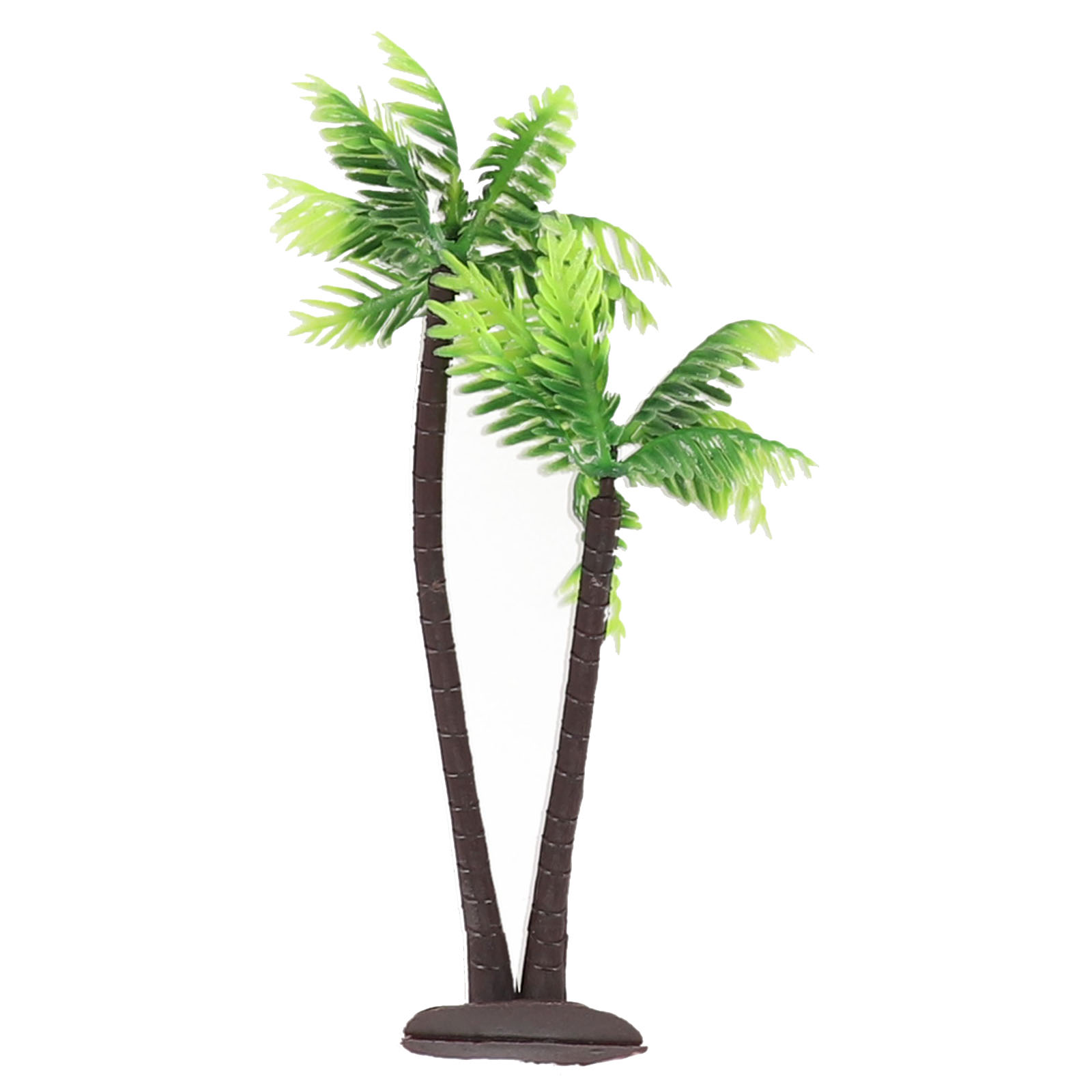 5 Stück Mini-Kokospalmen für T – Bonsai Garden Set Up Bewertung und Preis