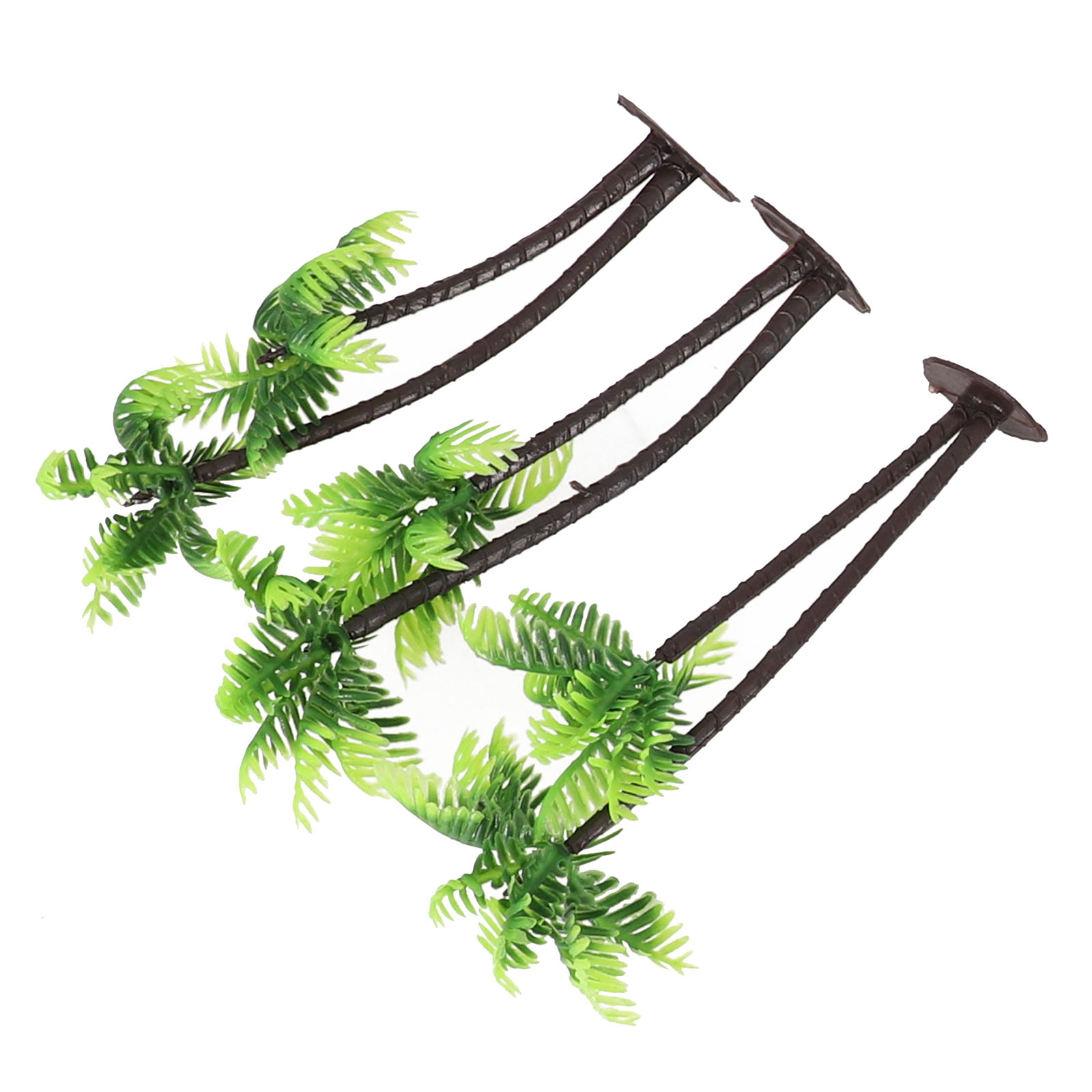 5 Stück Mini-Kokospalmen für T – Bonsai Garden Set Up Bewertung und Preis