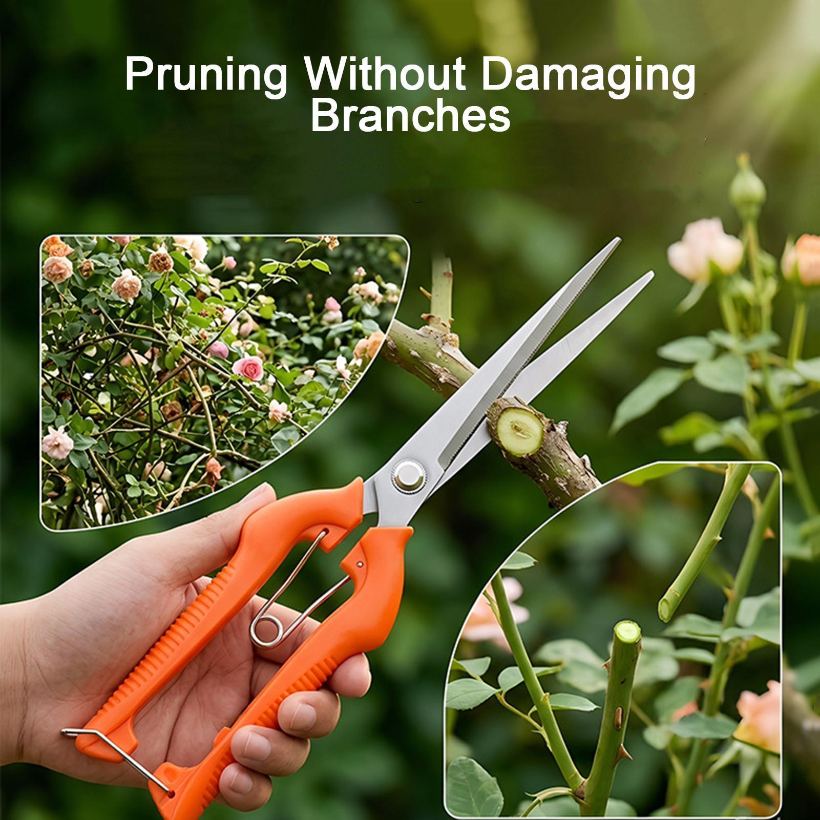 Professionelle Gartenschere au – Bonsai Garden Rake Bewertung und Preis