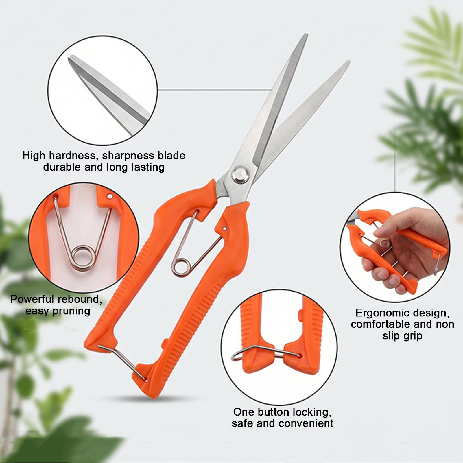 Professionelle Gartenschere au – Bonsai Garden Rake Bewertung und Preis