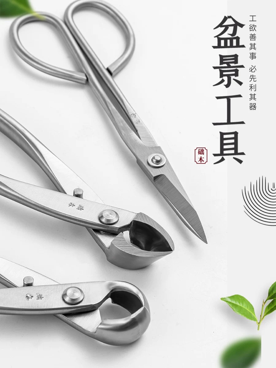 Bonsai-Werkzeugset (3-teilig)  – Bonsai Garden Rake Bewertung und Preis