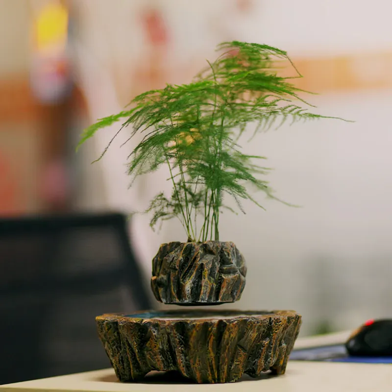 HCNT Elektrische Magnetische L – Bonsai Vertical Garden Bewertung und Preis