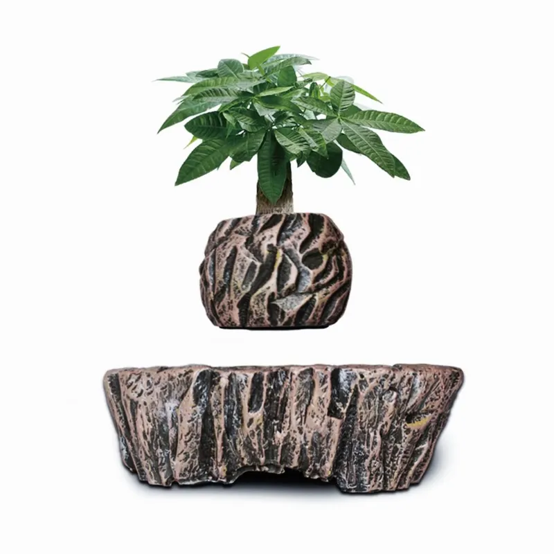 HCNT Elektrische Magnetische L – Bonsai Vertical Garden Bewertung und Preis