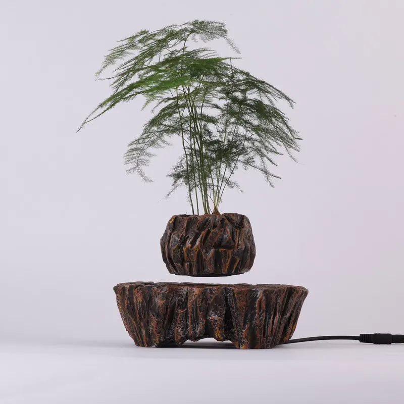 HCNT Elektrische Magnetische L – Bonsai Vertical Garden Bewertung und Preis