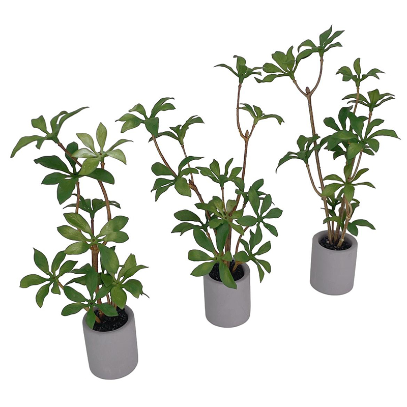 1:6 Puppenhaus Miniatur Topfpf – Bonsai Garden Ideas Bewertung und Preis