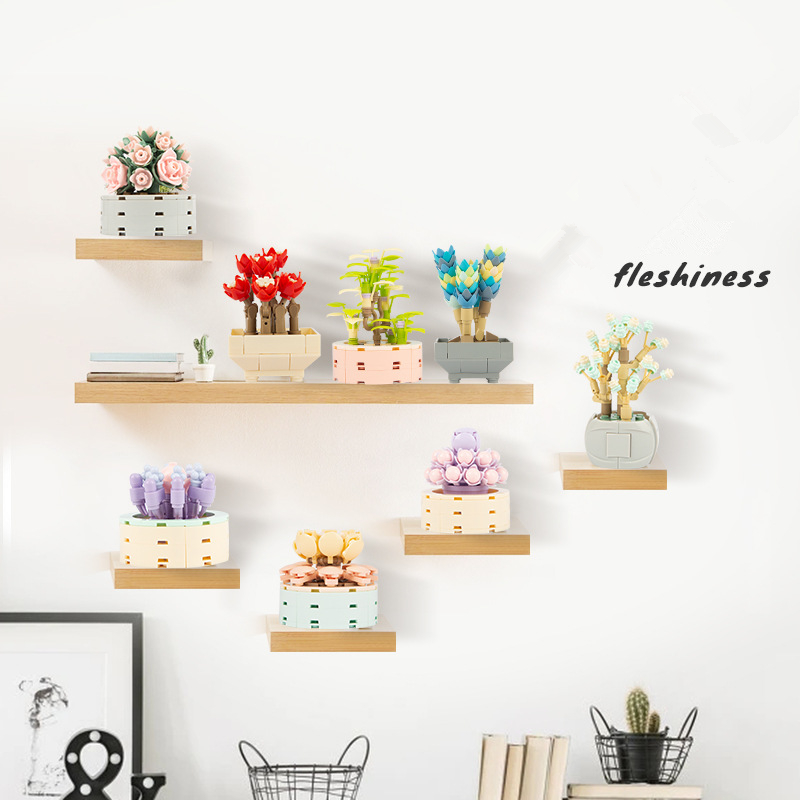 DIY MOC Topfpflanzen Sukkulent – Bonsai Garden Experts Bewertung und Preis