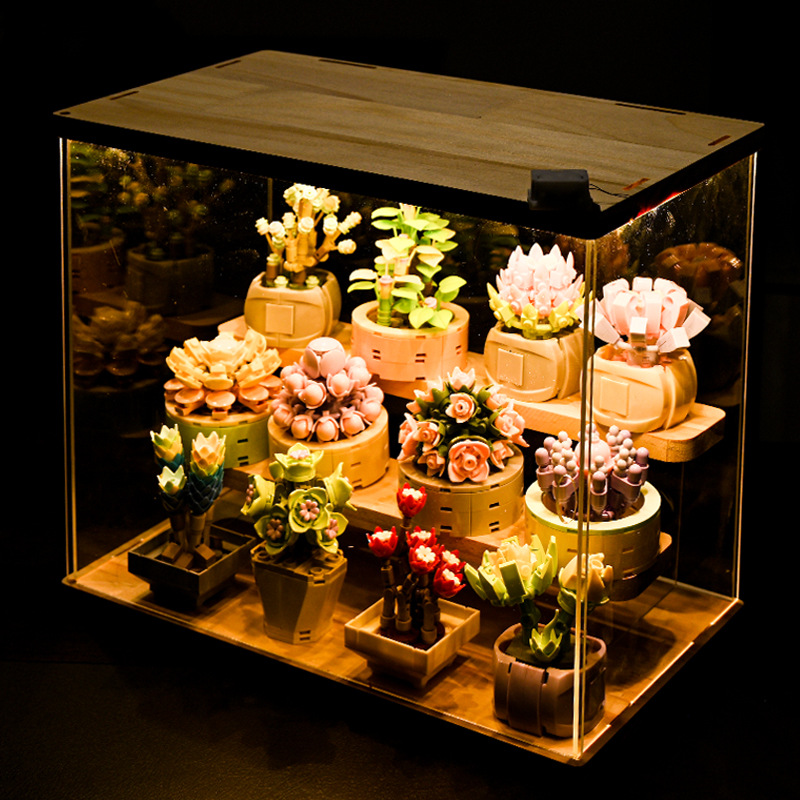 DIY MOC Topfpflanzen Sukkulent – Bonsai Garden Experts Bewertung und Preis