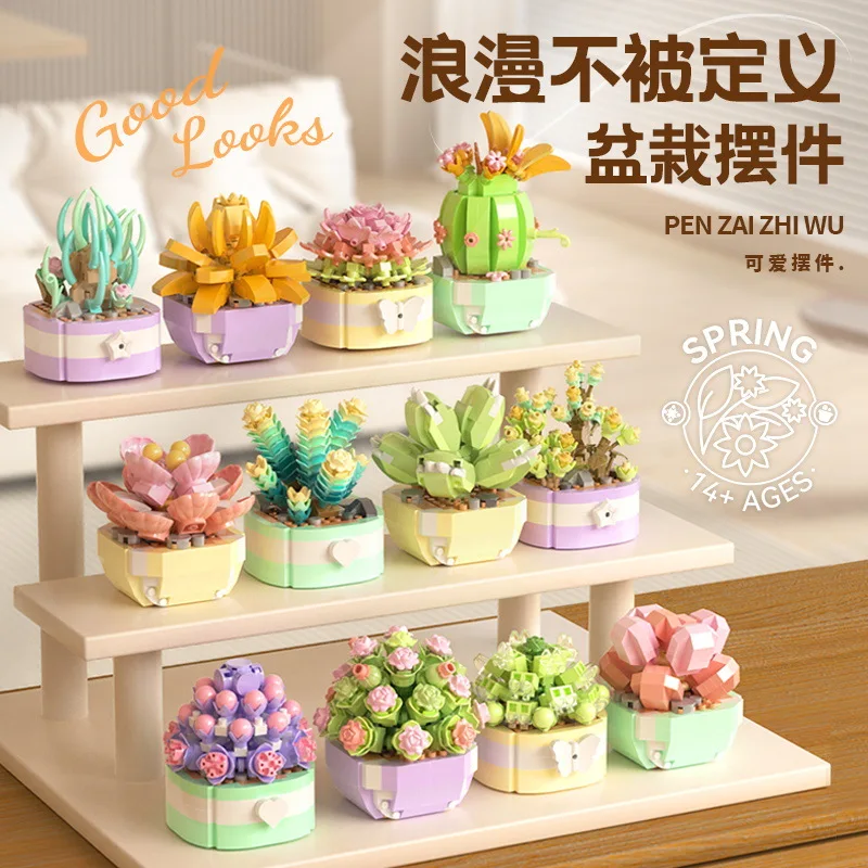 Blume Sukkulenten Bausteine Ka – Bonsai Garden Kit Bewertung und Preis
