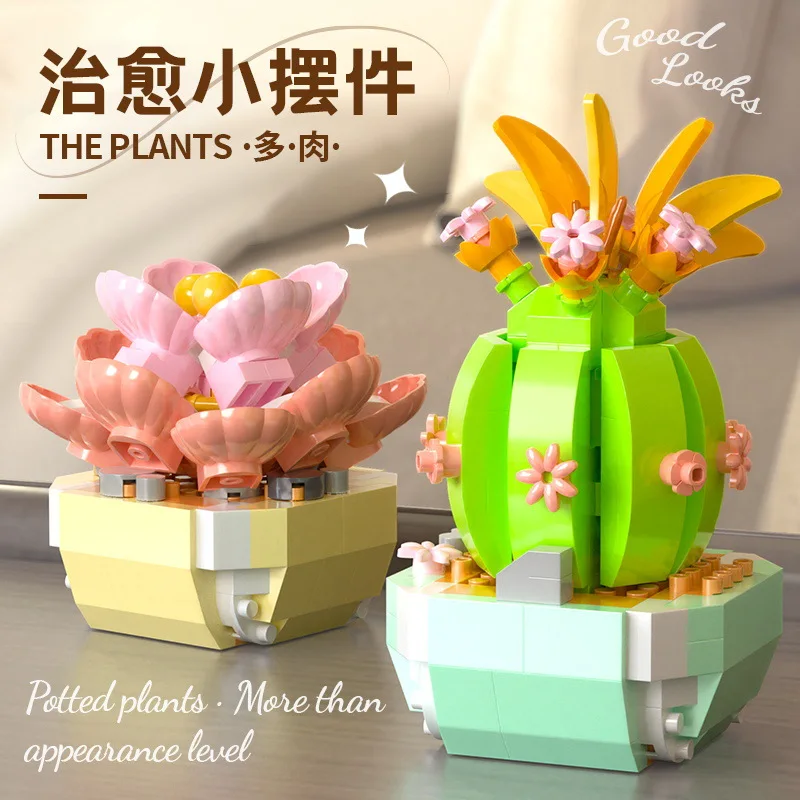 Blume Sukkulenten Bausteine Ka – Bonsai Garden Kit Bewertung und Preis