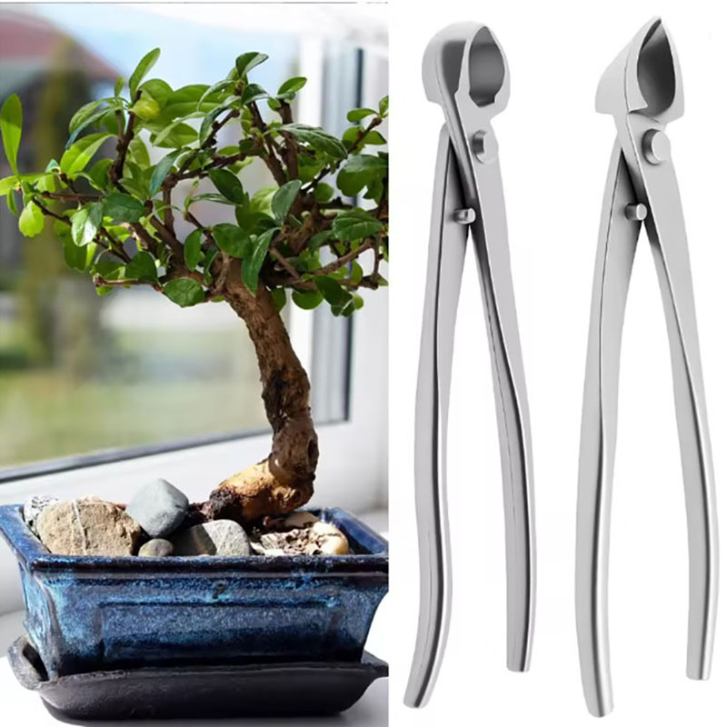 2 stücke 210mm Edelstahl Bonsa – Bonsai Garden Rake Bewertung und Preis