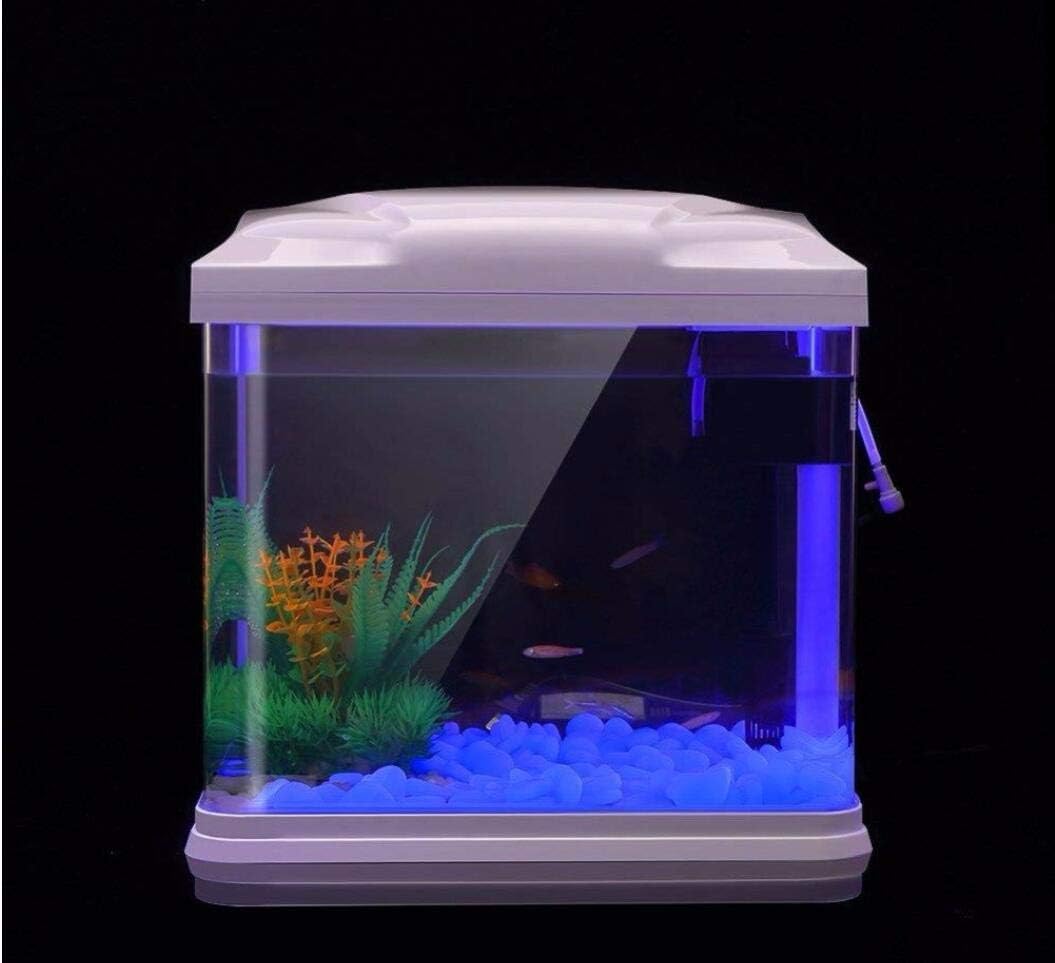 Aquarium-Felsen leuchten blaue – Bonsai Garden Kit Bewertung und Preis
