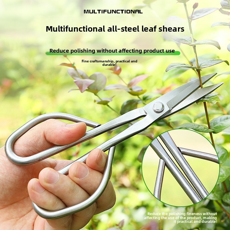 Zarte Blatt Schere Bonsai Werk – Bonsai Garden Rake Bewertung und Preis
