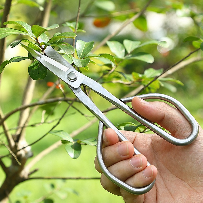 Zarte Blatt Schere Bonsai Werk – Bonsai Garden Rake Bewertung und Preis