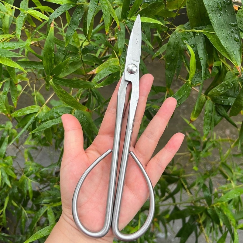 Zarte Blatt Schere Bonsai Werk – Bonsai Garden Rake Bewertung und Preis