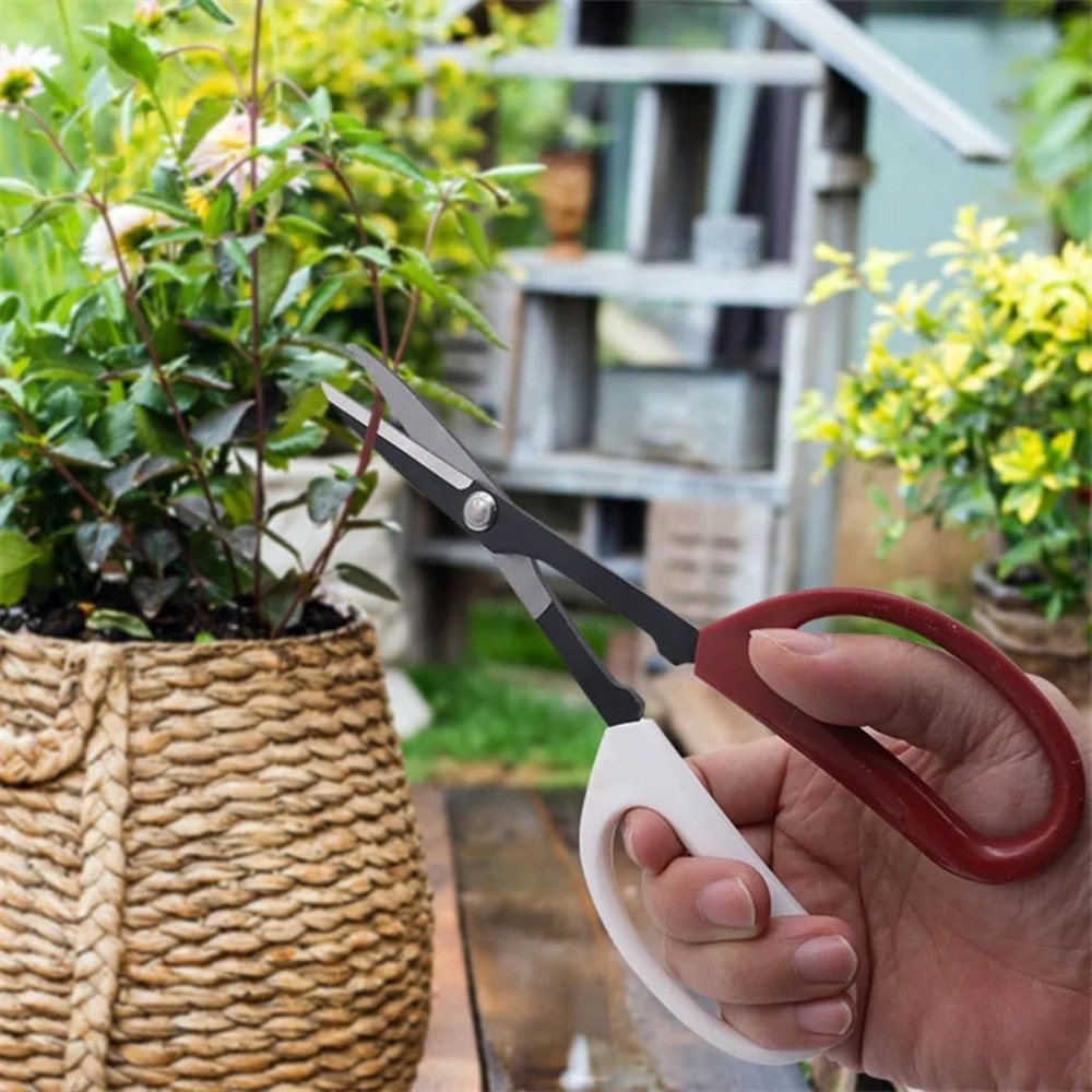 Bonsai-Werkzeug, Schere mit la – Bonsai Garden Rake Bewertung und Preis