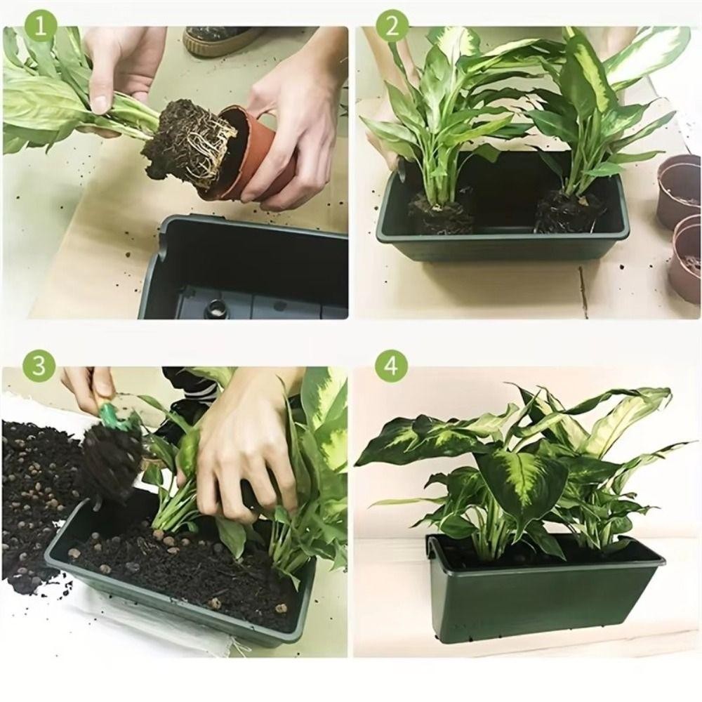 1/3 Stück Pflanzbox, Hängender – Bonsai Vertical Garden Bewertung und Preis