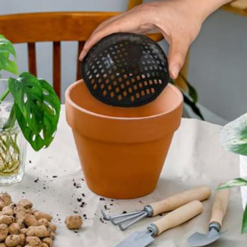 20/30 Stück Blumentopf-Netzgit – Bonsai Garden Kit Bewertung und Preis
