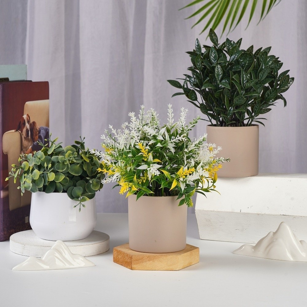 Künstliche Plastikpflanze Küns – Bonsai Garden Kit Bewertung und Preis