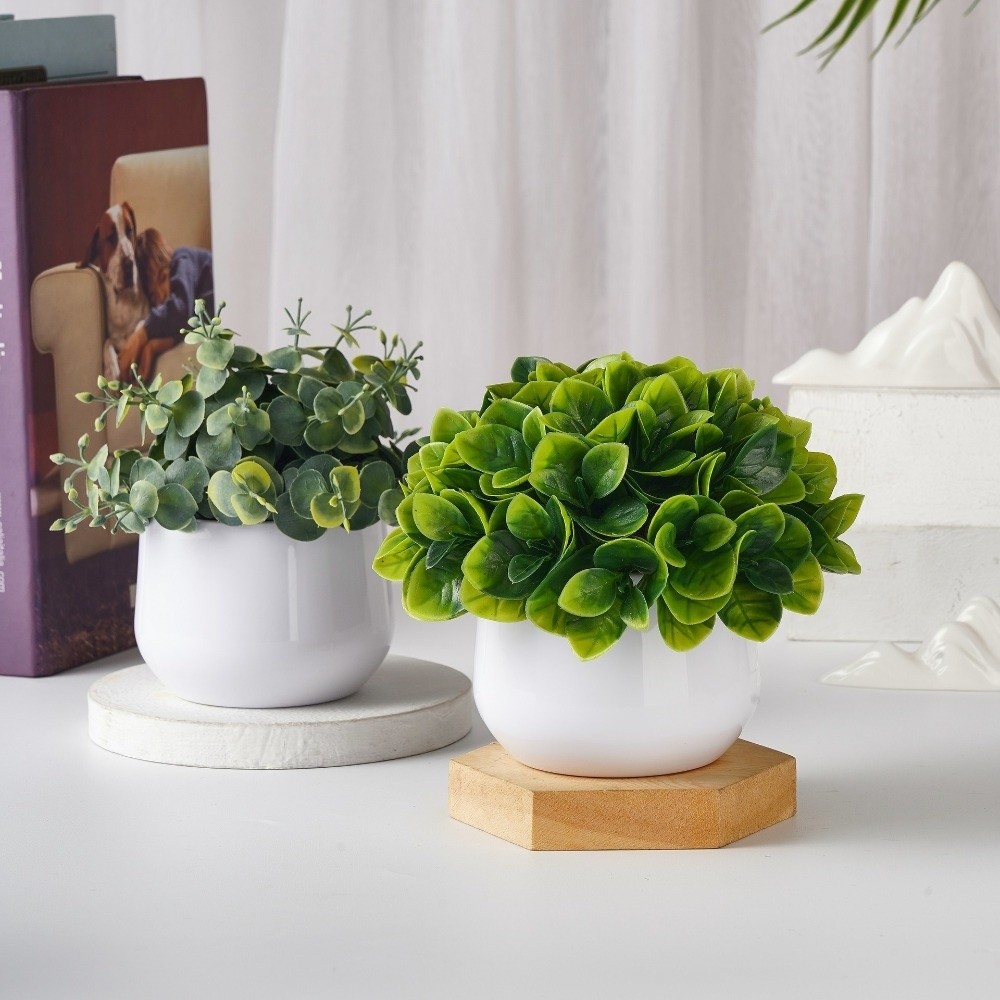 Künstliche Plastikpflanze Küns – Bonsai Garden Kit Bewertung und Preis