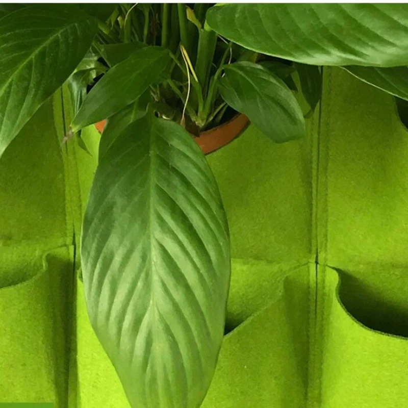 Hängender Pflanzbeutel mit meh – Bonsai Vertical Garden Bewertung und Preis