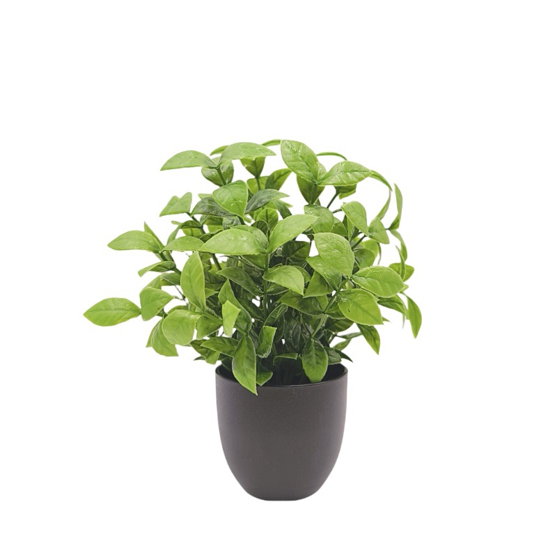 Simulierte Grüne Pflanze Bonsa – Bonsai Garden Kit Bewertung und Preis