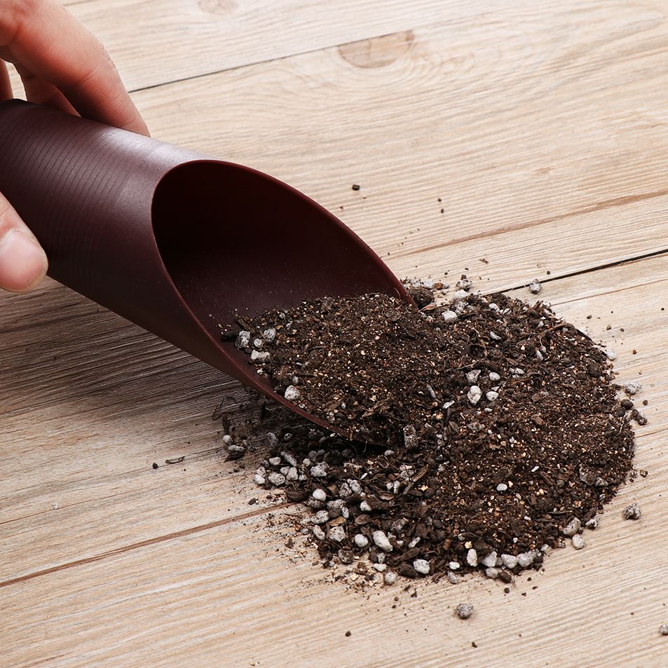 1PC Kunststoff Boden Schaufel  – Bonsai Garden Kit Bewertung und Preis
